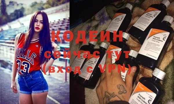 дурь Пестово