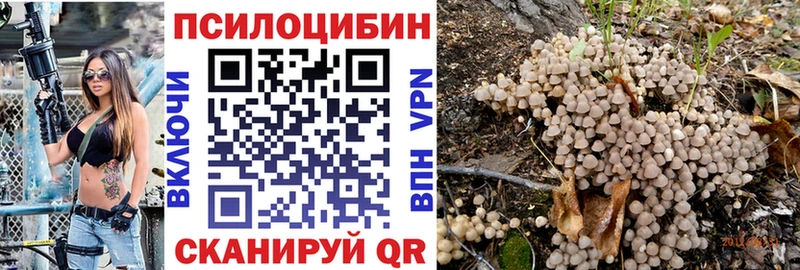 где найти   Сибай  Галлюциногенные грибы MAGIC MUSHROOMS 